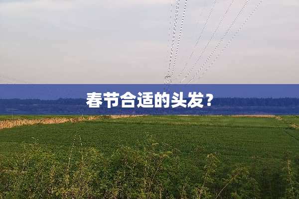春节合适的头发？