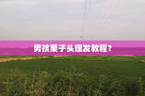 男孩栗子头理发教程？