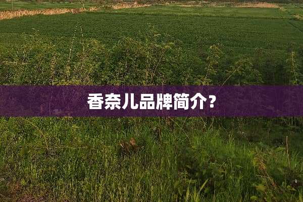 香奈儿品牌简介？