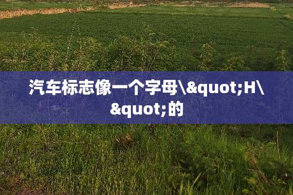 汽车标志像一个字母\"H\"的