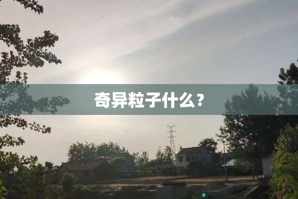 奇异粒子什么？