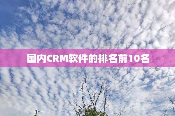 国内CRM软件的排名前10名