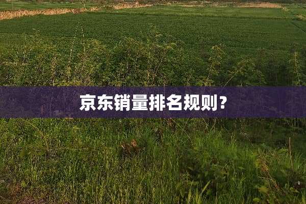 京东销量排名规则？