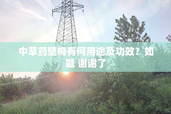 中草药壁梅有何用途及功效？如题 谢谢了