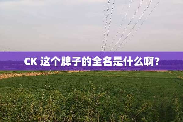 CK 这个牌子的全名是什么啊？