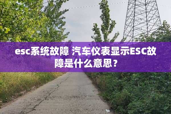 esc系统故障 汽车仪表显示ESC故障是什么意思？
