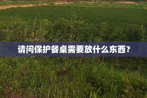 请问保护餐桌需要放什么东西？
