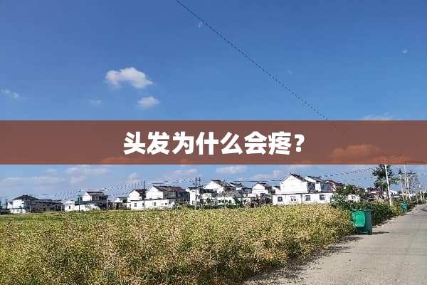 头发为什么会疼？