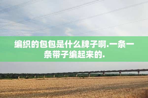 编织的包包是什么牌子啊.一条一条带子编起来的.