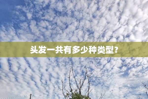 头发一共有多少种类型？