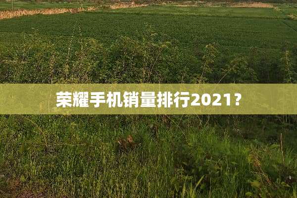 荣耀手机销量排行2021？