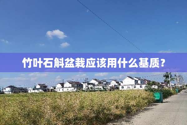 竹叶石斛盆栽应该用什么基质？