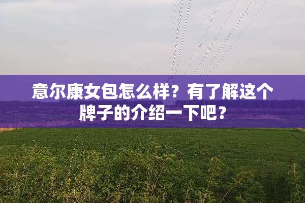 意尔康女包怎么样？有了解这个牌子的介绍一下吧？