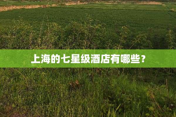 上海的七星级酒店有哪些？