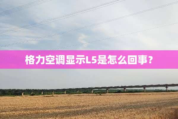 格力空调显示L5是怎么回事？