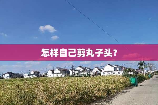 怎样自己剪丸子头？