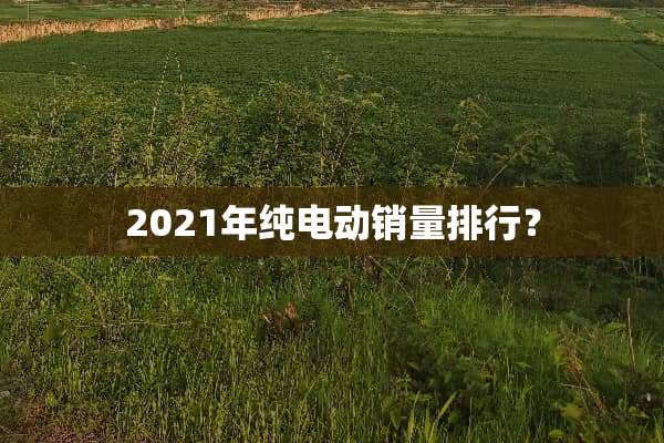 2021年纯电动销量排行？