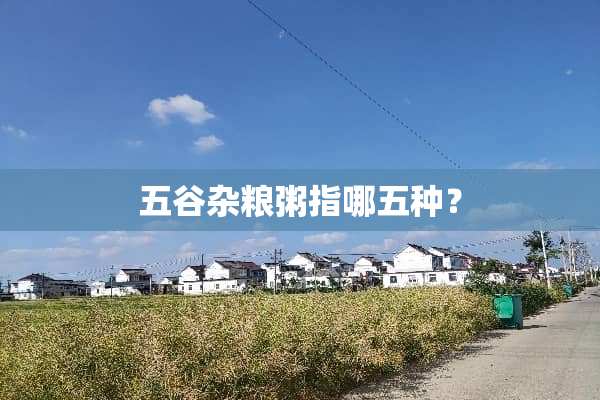 五谷杂粮粥指哪五种？