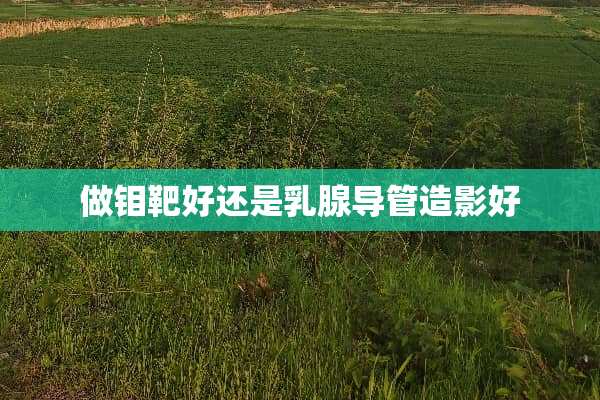 做钼靶好还是*腺导管造影好