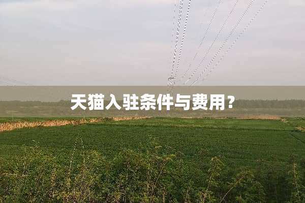天猫入驻条件与费用？