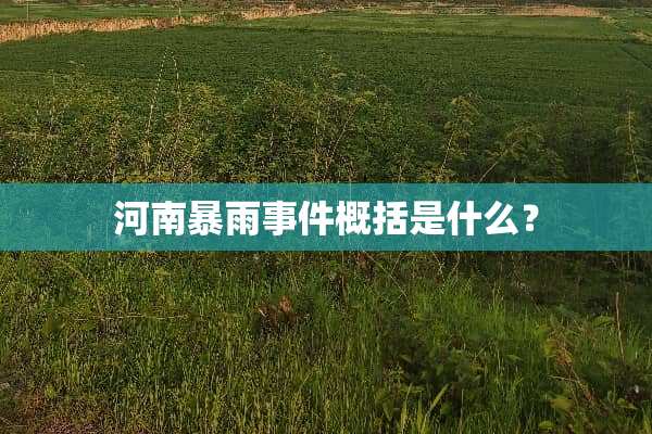 河南暴雨事件概括是什么？