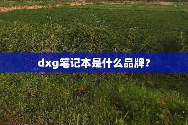 dxg笔记本是什么品牌？