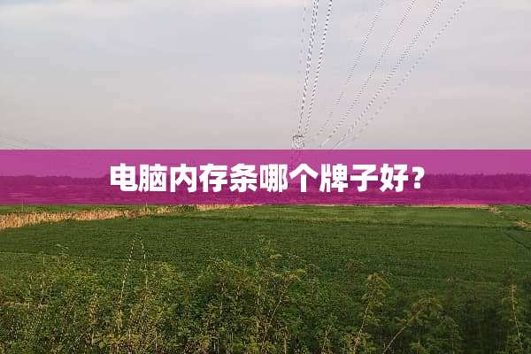 电脑内存条哪个牌子好？