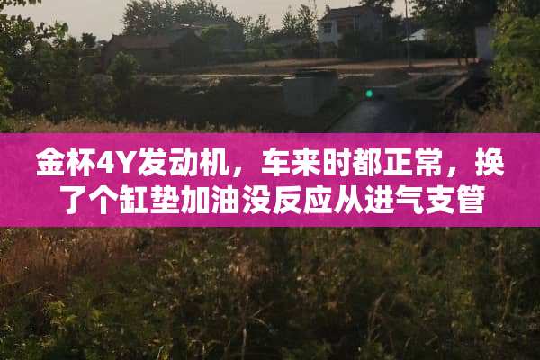 金杯4Y发动机，车来时都正常，换了个缸垫加油没反应从进气支管回火，是这怎么回事