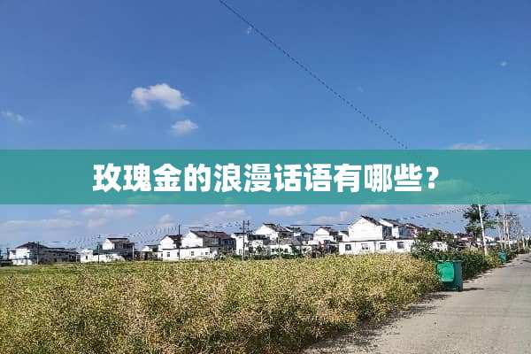 玫瑰金的浪漫话语有哪些？