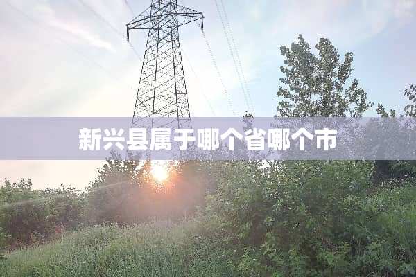 新兴县属于哪个省哪个市