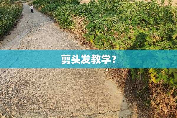 剪头发教学？