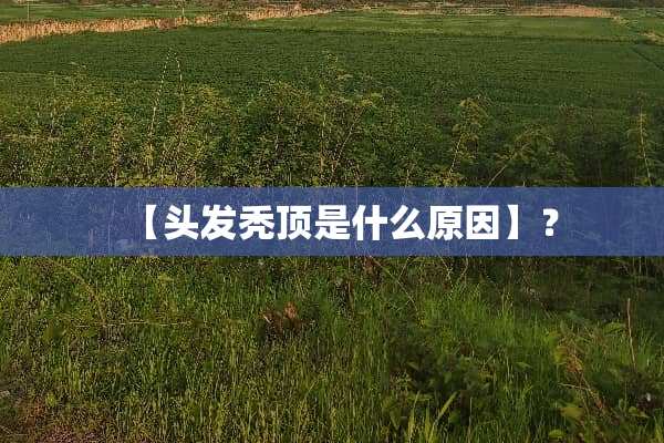 【头发秃顶是什么原因】？