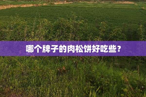 哪个牌子的肉松饼好吃些？