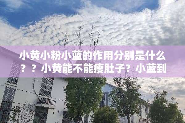小黄小粉小蓝的作用分别是什么？？小黄能不能瘦肚子？小蓝到底是干什