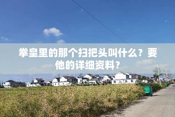 拳皇里的那个扫把头叫什么？要他的详细资料？