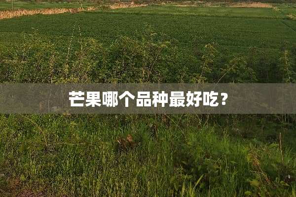芒果哪个品种最好吃？