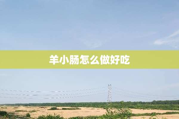 羊小肠怎么做好吃