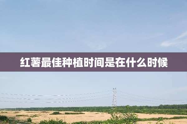 红薯最佳种植时间是在什么时候