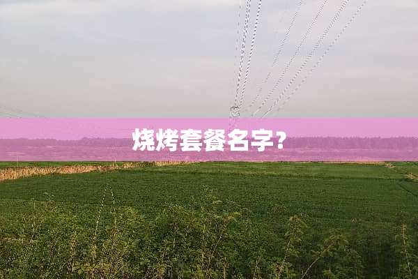 烧烤套餐名字？