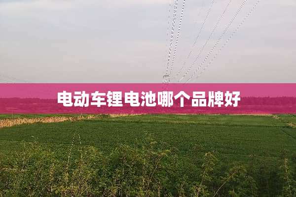 电动车锂电池哪个品牌好