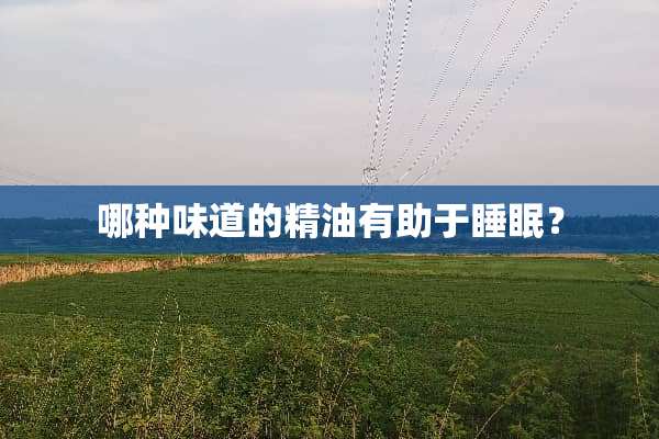 哪种味道的精油有助于睡眠？