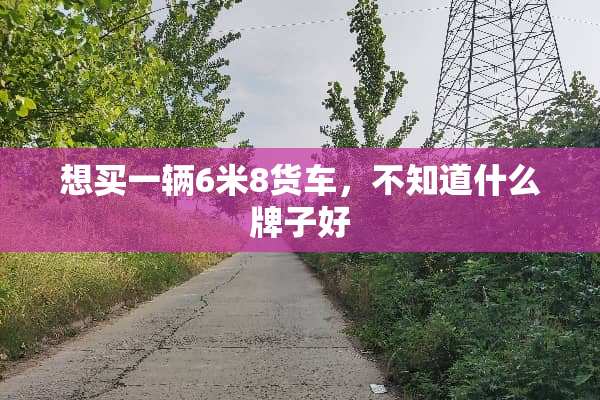 想买一辆6米8货车，不知道什么牌子好