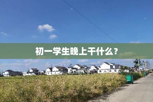 初一学生晚上干什么？