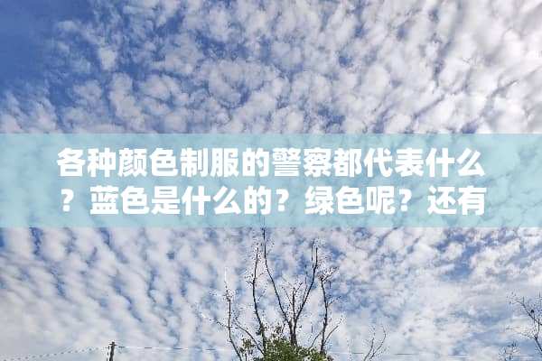 各种颜色**的**都代表什么？蓝色是什么的？绿色呢？还有黑色呢？