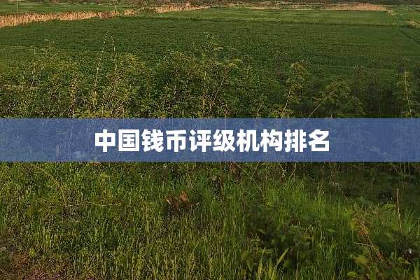 中国钱币评级机构排名