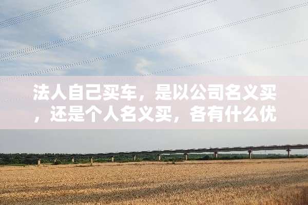 法人自己买车，是以公司名义买，还是个人名义买，各有什么优缺点？请详细些。谢谢