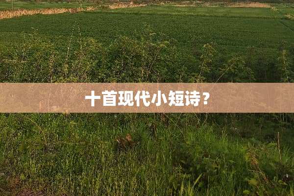 十首现代小短诗？