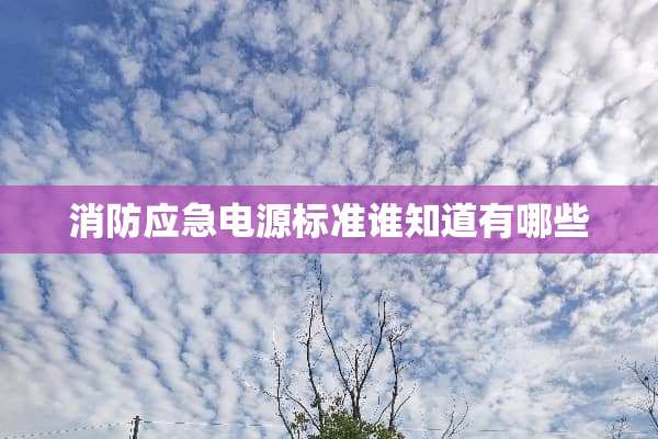 消防应急电源标准谁知道有哪些