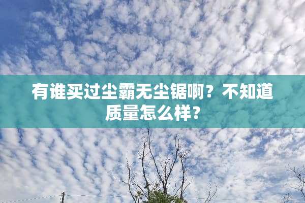 有谁买过尘霸无尘锯啊？不知道质量怎么样？