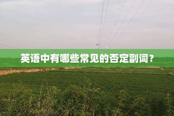 英语中有哪些常见的否定副词？